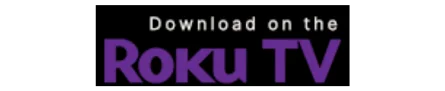 ibo player roku